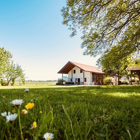 Sonnenblumenhof Konuk evi Mühlheim Dış mekan fotoğraf